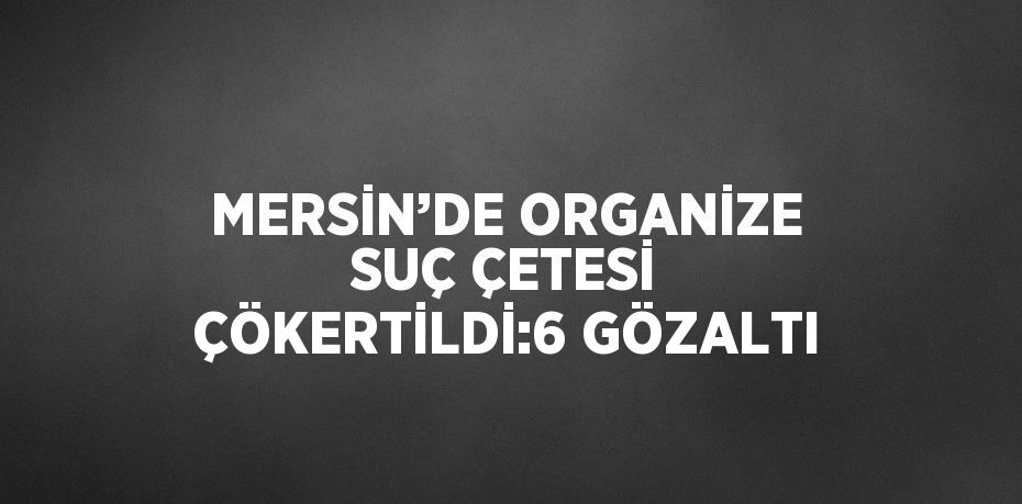 MERSİN’DE ORGANİZE SUÇ ÇETESİ ÇÖKERTİLDİ:6 GÖZALTI