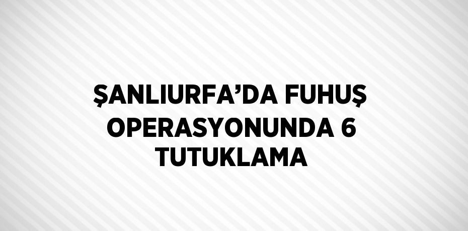 ŞANLIURFA’DA FUHUŞ OPERASYONUNDA 6 TUTUKLAMA