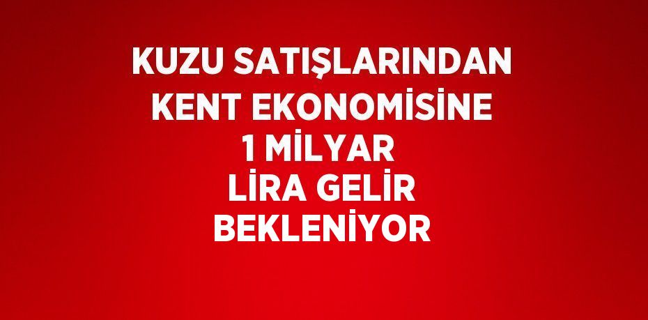 KUZU SATIŞLARINDAN KENT EKONOMİSİNE 1 MİLYAR LİRA GELİR BEKLENİYOR