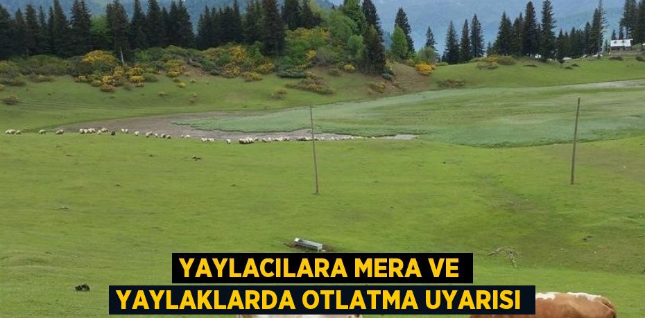 YAYLACILARA MERA VE YAYLAKLARDA OTLATMA UYARISI