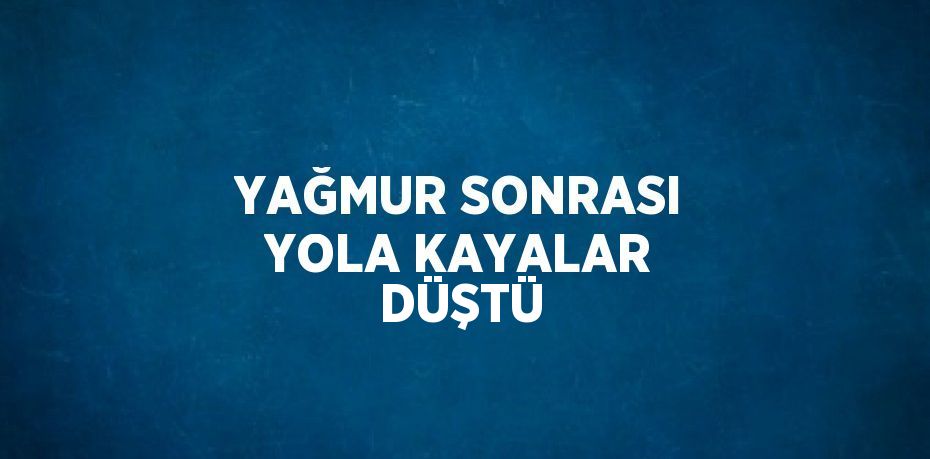 YAĞMUR SONRASI YOLA KAYALAR DÜŞTÜ