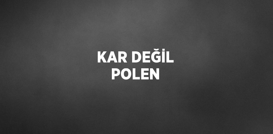 KAR DEĞİL POLEN
