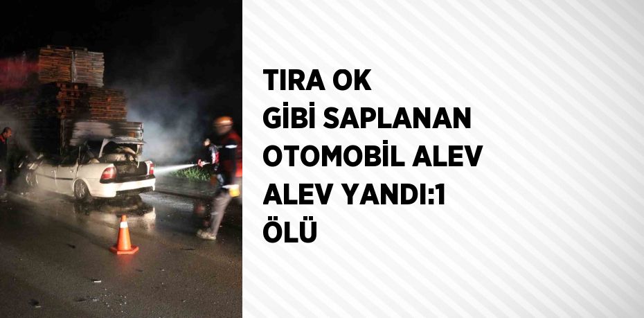 TIRA OK GİBİ SAPLANAN OTOMOBİL ALEV ALEV YANDI:1 ÖLÜ