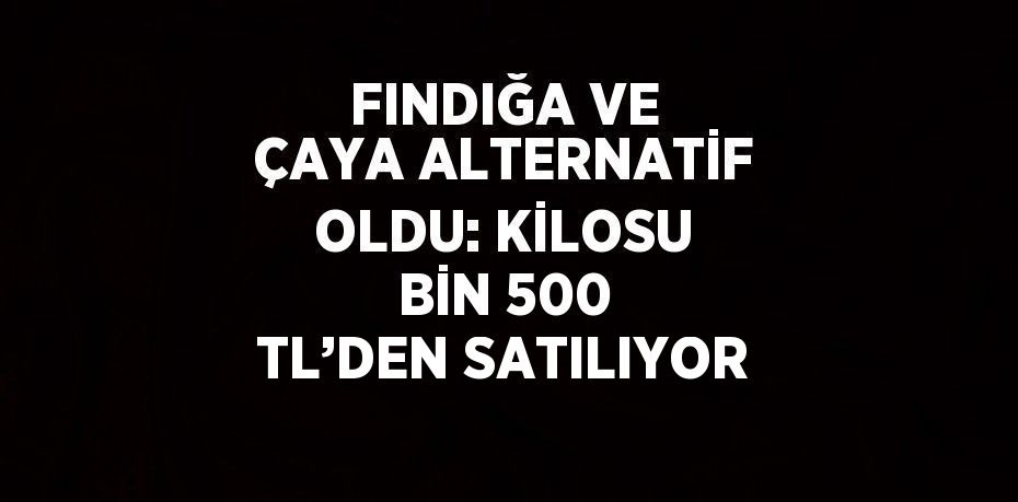 FINDIĞA VE ÇAYA ALTERNATİF OLDU: KİLOSU BİN 500 TL’DEN SATILIYOR