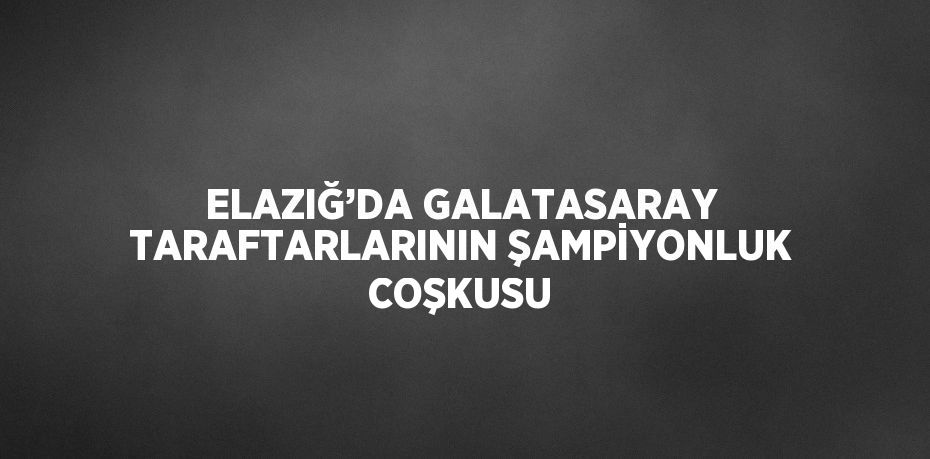 ELAZIĞ’DA GALATASARAY TARAFTARLARININ ŞAMPİYONLUK COŞKUSU