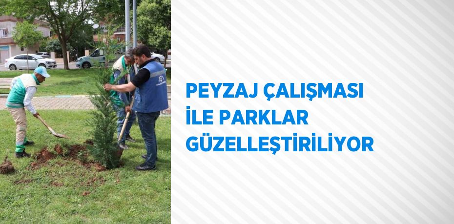 PEYZAJ ÇALIŞMASI İLE PARKLAR GÜZELLEŞTİRİLİYOR