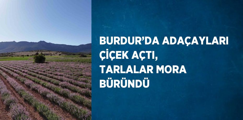 BURDUR’DA ADAÇAYLARI ÇİÇEK AÇTI, TARLALAR MORA BÜRÜNDÜ