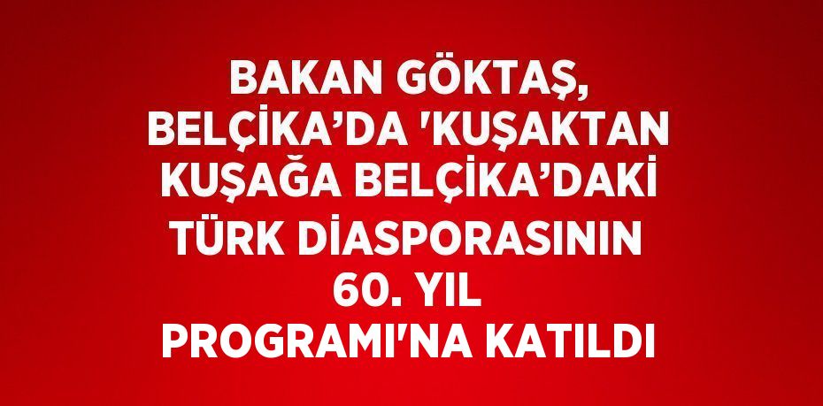 BAKAN GÖKTAŞ, BELÇİKA’DA 'KUŞAKTAN KUŞAĞA BELÇİKA’DAKİ TÜRK DİASPORASININ 60. YIL PROGRAMI'NA KATILDI