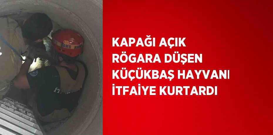 KAPAĞI AÇIK RÖGARA DÜŞEN KÜÇÜKBAŞ HAYVANI İTFAİYE KURTARDI