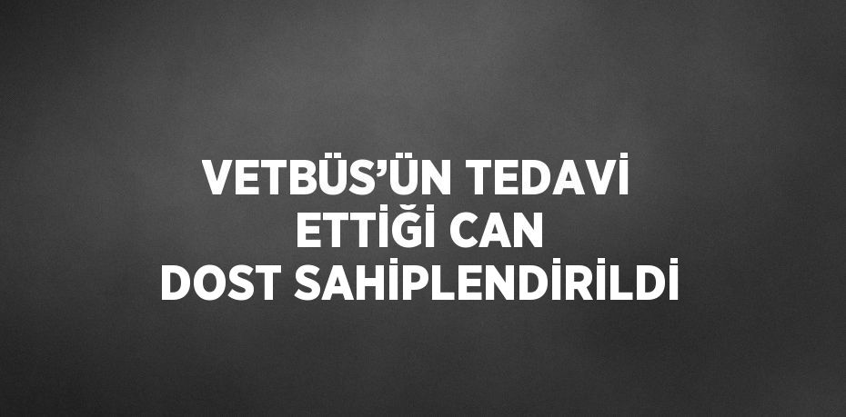 VETBÜS’ÜN TEDAVİ ETTİĞİ CAN DOST SAHİPLENDİRİLDİ