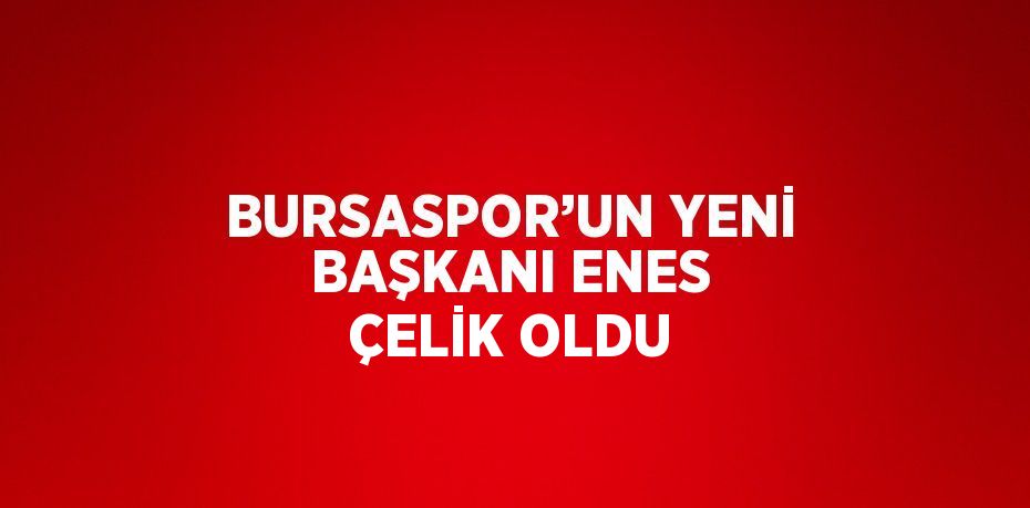 BURSASPOR’UN YENİ BAŞKANI ENES ÇELİK OLDU