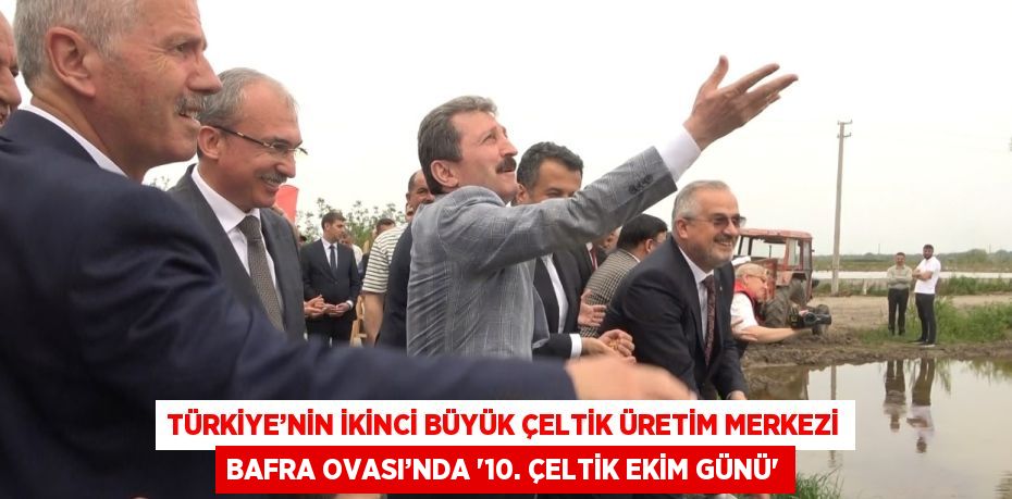 TÜRKİYE’NİN İKİNCİ BÜYÜK ÇELTİK ÜRETİM MERKEZİ BAFRA OVASI’NDA '10. ÇELTİK EKİM GÜNÜ'