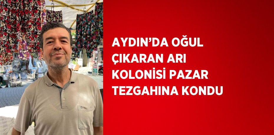 AYDIN’DA OĞUL ÇIKARAN ARI KOLONİSİ PAZAR TEZGAHINA KONDU
