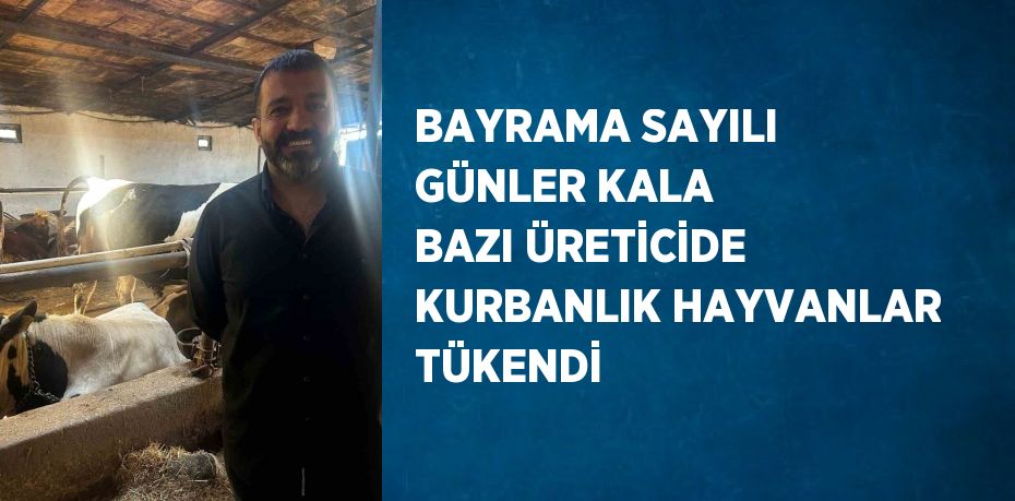 BAYRAMA SAYILI GÜNLER KALA BAZI ÜRETİCİDE KURBANLIK HAYVANLAR TÜKENDİ