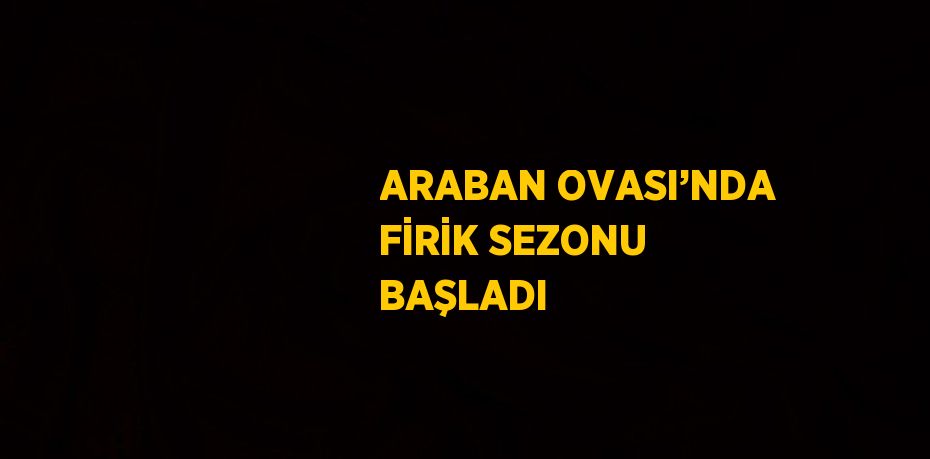 ARABAN OVASI’NDA FİRİK SEZONU BAŞLADI