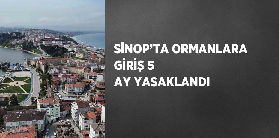 SİNOP’TA ORMANLARA GİRİŞ 5 AY YASAKLANDI