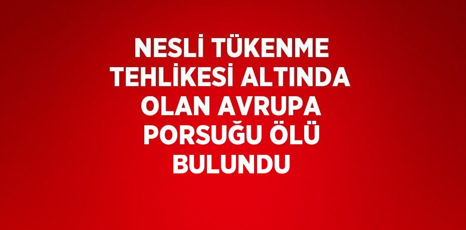 NESLİ TÜKENME TEHLİKESİ ALTINDA OLAN AVRUPA PORSUĞU ÖLÜ BULUNDU