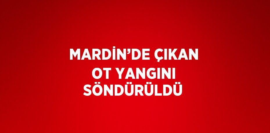 MARDİN’DE ÇIKAN OT YANGINI SÖNDÜRÜLDÜ