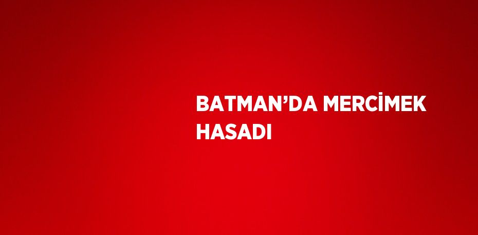 BATMAN’DA MERCİMEK HASADI
