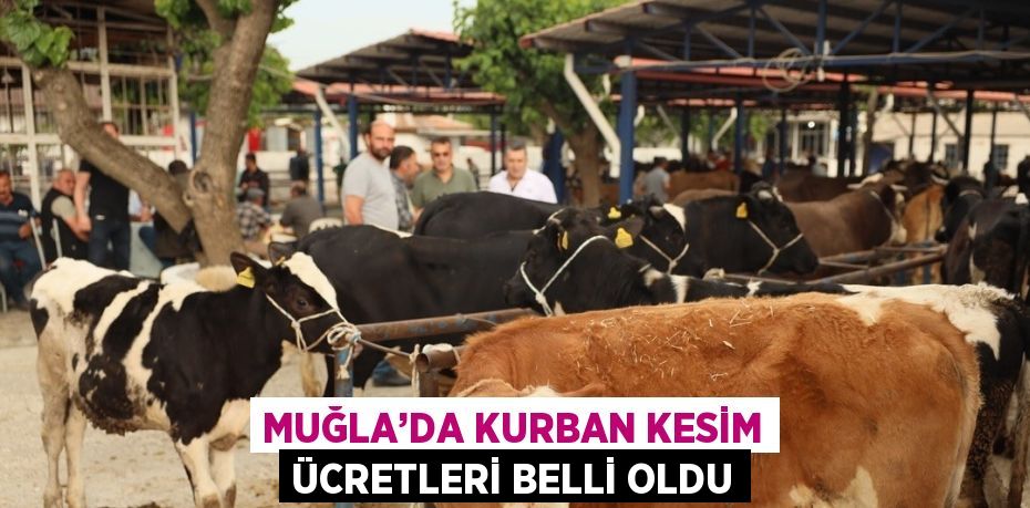 MUĞLA’DA KURBAN KESİM ÜCRETLERİ BELLİ OLDU