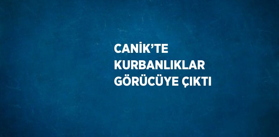 CANİK’TE KURBANLIKLAR GÖRÜCÜYE ÇIKTI