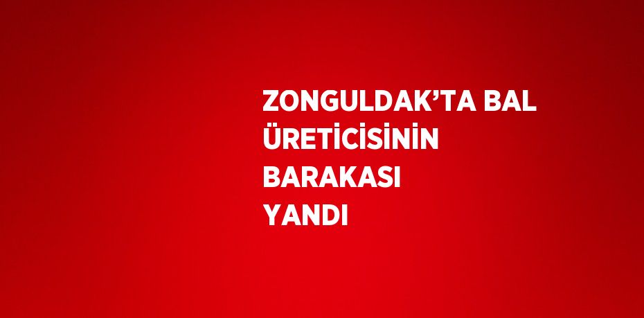 ZONGULDAK’TA BAL ÜRETİCİSİNİN BARAKASI YANDI