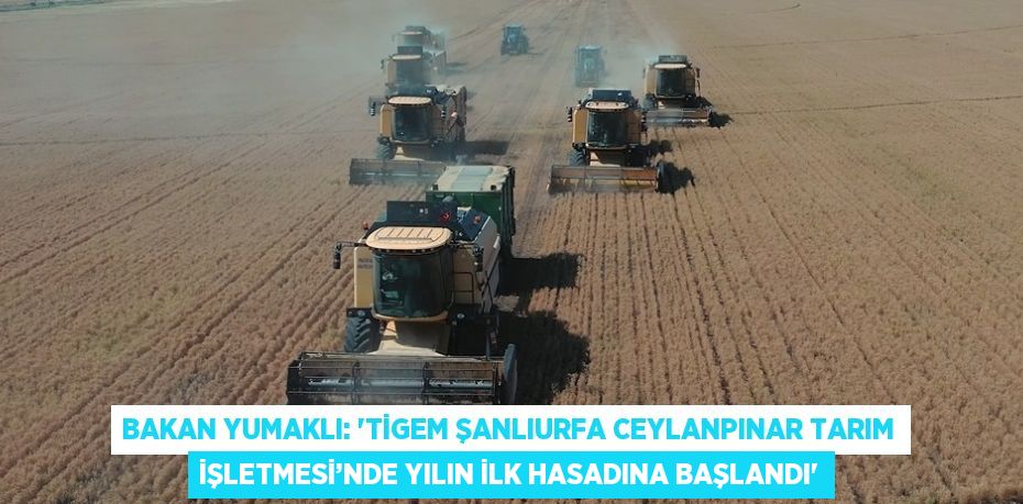 BAKAN YUMAKLI: 'TİGEM ŞANLIURFA CEYLANPINAR TARIM İŞLETMESİ’NDE YILIN İLK HASADINA BAŞLANDI'