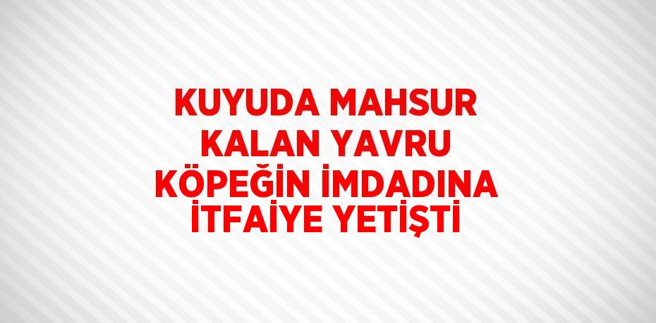 KUYUDA MAHSUR KALAN YAVRU KÖPEĞİN İMDADINA İTFAİYE YETİŞTİ