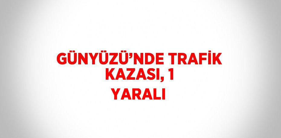 GÜNYÜZÜ’NDE TRAFİK KAZASI, 1 YARALI