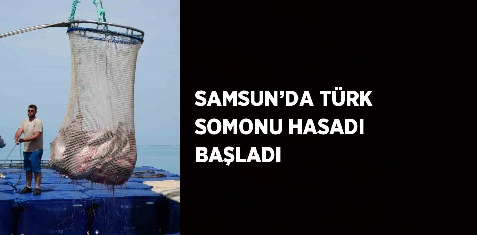 SAMSUN’DA TÜRK SOMONU HASADI BAŞLADI