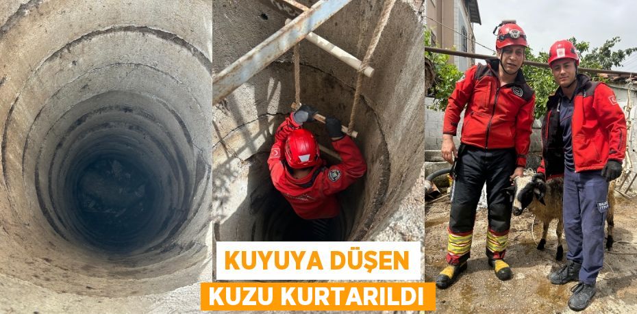 KUYUYA DÜŞEN KUZU KURTARILDI