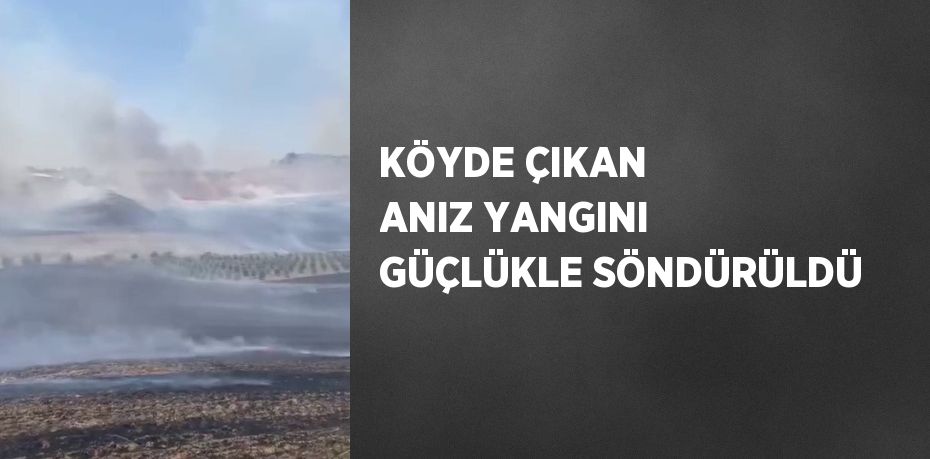 KÖYDE ÇIKAN ANIZ YANGINI GÜÇLÜKLE SÖNDÜRÜLDÜ