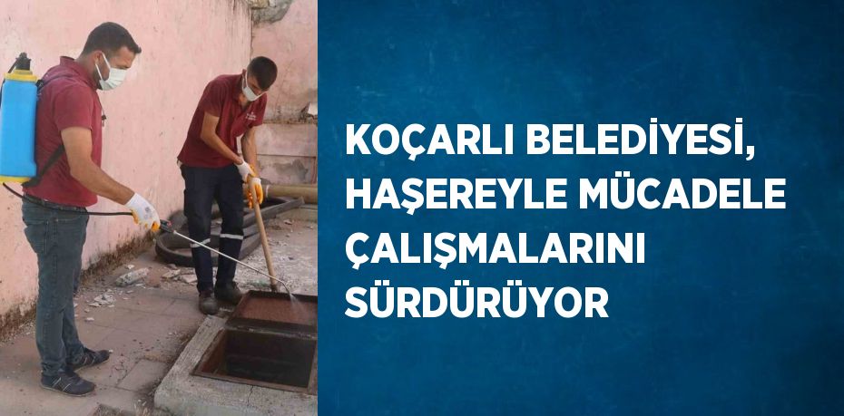 KOÇARLI BELEDİYESİ, HAŞEREYLE MÜCADELE ÇALIŞMALARINI SÜRDÜRÜYOR