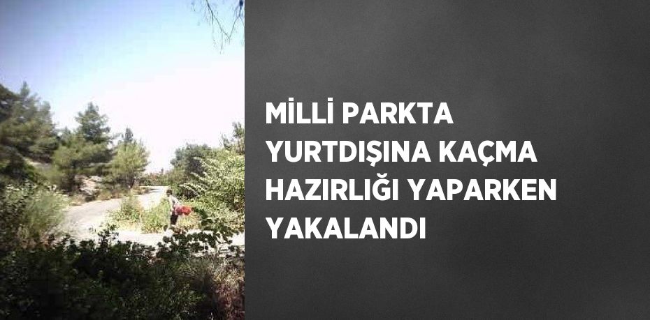 MİLLİ PARKTA YURTDIŞINA KAÇMA HAZIRLIĞI YAPARKEN YAKALANDI