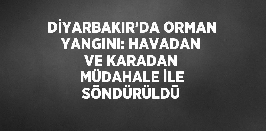 DİYARBAKIR’DA ORMAN YANGINI: HAVADAN VE KARADAN MÜDAHALE İLE SÖNDÜRÜLDÜ