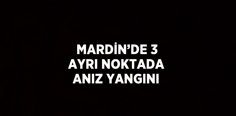 MARDİN’DE 3 AYRI NOKTADA ANIZ YANGINI