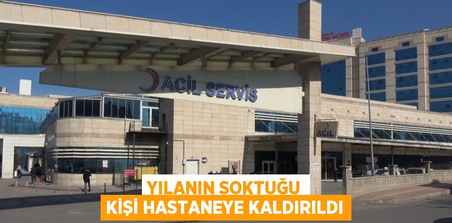 YILANIN SOKTUĞU KİŞİ HASTANEYE KALDIRILDI