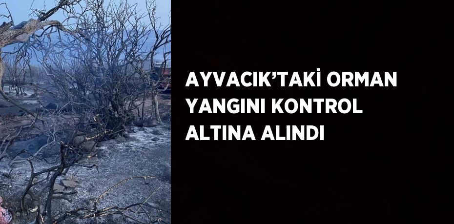 AYVACIK’TAKİ ORMAN YANGINI KONTROL ALTINA ALINDI