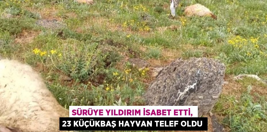 SÜRÜYE YILDIRIM İSABET ETTİ, 23 KÜÇÜKBAŞ HAYVAN TELEF OLDU