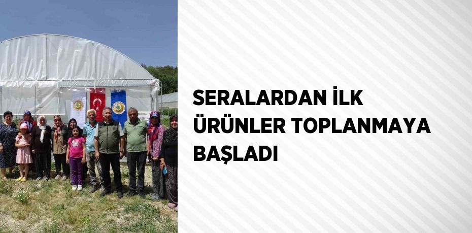 SERALARDAN İLK ÜRÜNLER TOPLANMAYA BAŞLADI