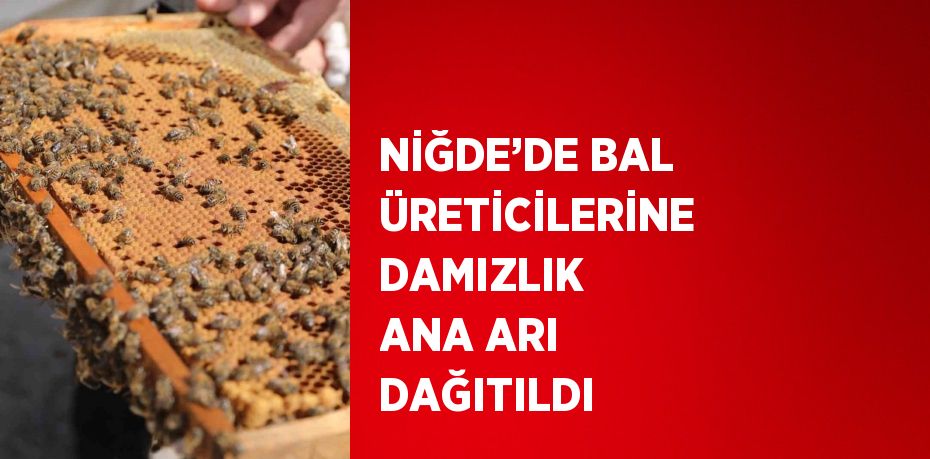 NİĞDE’DE BAL ÜRETİCİLERİNE DAMIZLIK ANA ARI DAĞITILDI