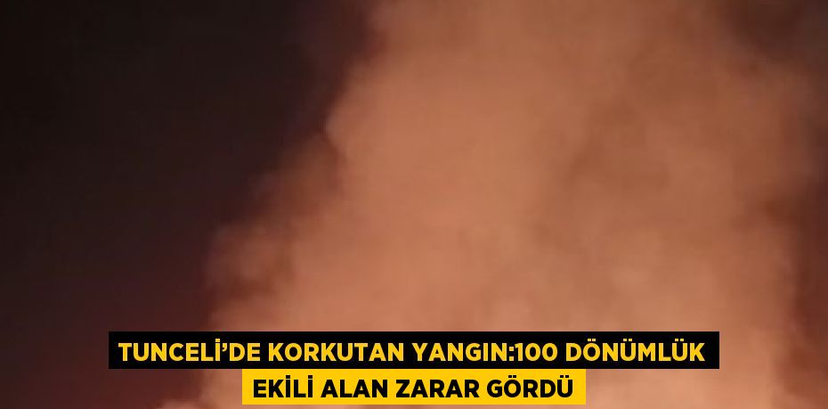 TUNCELİ’DE KORKUTAN YANGIN:100 DÖNÜMLÜK EKİLİ ALAN ZARAR GÖRDÜ