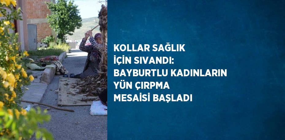 KOLLAR SAĞLIK İÇİN SIVANDI: BAYBURTLU KADINLARIN YÜN ÇIRPMA MESAİSİ BAŞLADI