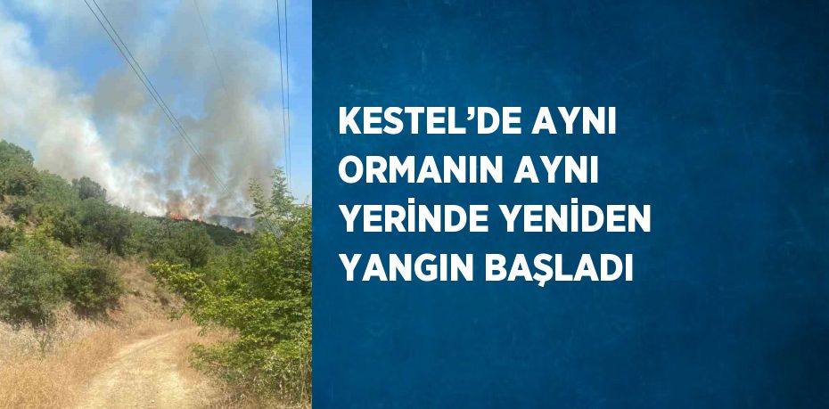 KESTEL’DE AYNI ORMANIN AYNI YERİNDE YENİDEN YANGIN BAŞLADI