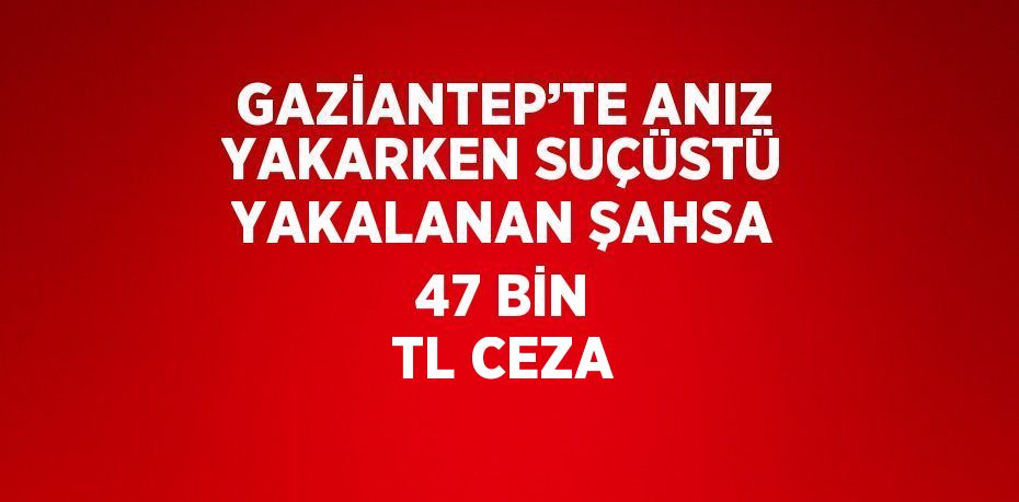GAZİANTEP’TE ANIZ YAKARKEN SUÇÜSTÜ YAKALANAN ŞAHSA 47 BİN TL CEZA