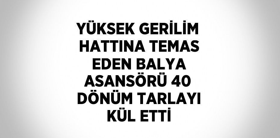 YÜKSEK GERİLİM HATTINA TEMAS EDEN BALYA ASANSÖRÜ 40 DÖNÜM TARLAYI KÜL ETTİ
