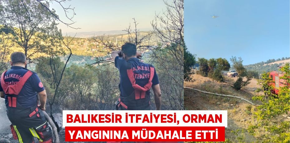 Balıkesir itfaiyesi, orman yangınına müdahale etti