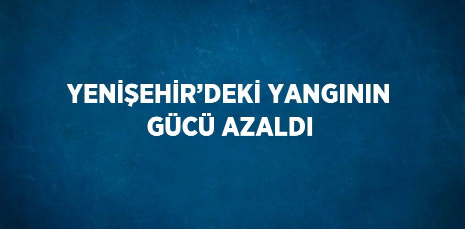 YENİŞEHİR’DEKİ YANGININ GÜCÜ AZALDI