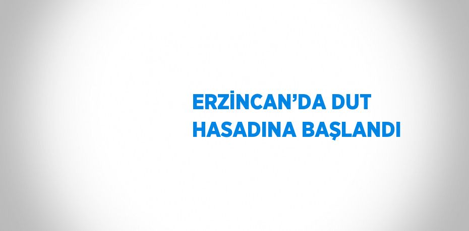 ERZİNCAN’DA DUT HASADINA BAŞLANDI