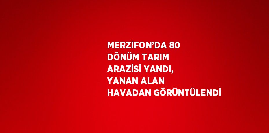 MERZİFON’DA 80 DÖNÜM TARIM ARAZİSİ YANDI, YANAN ALAN HAVADAN GÖRÜNTÜLENDİ